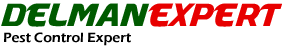DelmanExpert